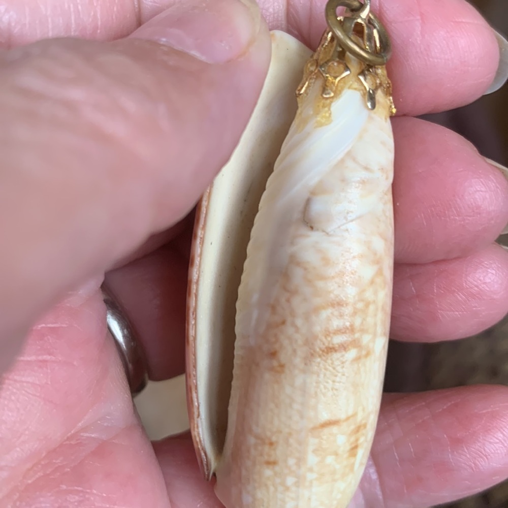 Shell Pendant 3” - Picture 3 of 6